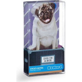 Resim Mustard Köpek Notluk 