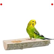 Resim NETWORK ART Doğal Ağaç Kuş Tüneği ve Yemlik 