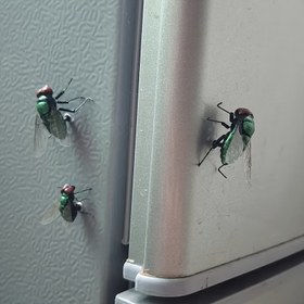 Resim 1/2 Adet Simülasyon Böcek Mıknatıs Buzdolabı Stickerları, Yapay Sinek Manyetik Buzdolabı Çıkartmaları, Oda ve Ofis Dekorasyonu İçin Uygun, Şaka Hediyesi, Cadılar Bayramı Hediye 