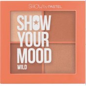 Resim Pastel Show Your Mood Wild Blush Allık Seti 4x43gr 