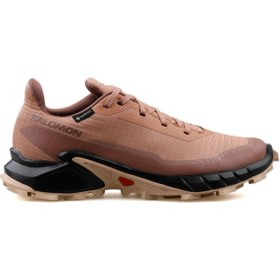 Resim Salomon Kadın Outdoor Ayakkabı Kahverengi L47595100 O.c.o Alphacross 5 Gtx W 
