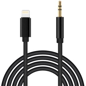 Resim Winex AX37 Gfz Lightning to 3.5mm Aux Ses Kablosu Siyah 