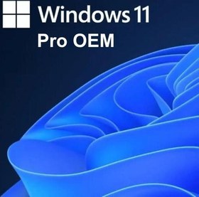 Resim Windows 11 Pro OEM Lisans Key 