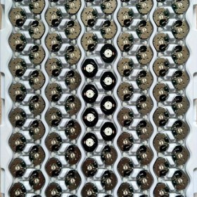 Resim 1 adet SL68 Kuvars Saat Hareketi Yedek Parça - Saat Tamiri için Kompakt, Kolay Kurulumlu Metal Aksesuarlar, Dayanıklı Plastik İnşaat, Zaman Parçası Restorasyonu için Mükemmel, Saat Tamiri Kiti|Kompakt Saat Hareketi|Dayanıklı Plastik 