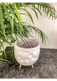 Resim Bitki Tasarım Beyaz Desenli Toprak Saksı 3 Ayaklı 19 Cm 