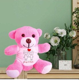 Resim Kişiye Özel Peluş Pembe Ayı Hk2540 