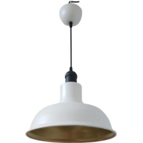 Resim Retro Metal Dekoratif Beyaz Içi Gold Siyah Duylu Tekli Sarkıt Avi 