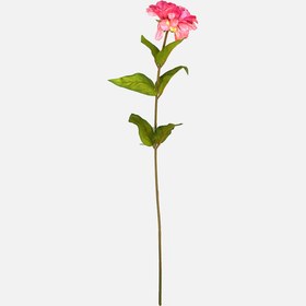 Resim Yapay Margarita Çiçeği 