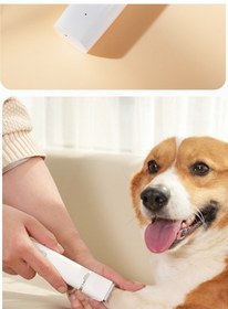 Resim Dm Cbtx Evcil Hayvan Kedi Köpek 4 Lü Tıraş Makinesi Seti Mavi 