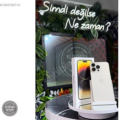 Altın