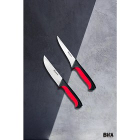 Resim Sürmene Noché Kasap Doğrama ve Sıyırma Iki Parça Bıçak Mutfak Seti 