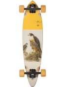 Resim Globe Pintail 34 