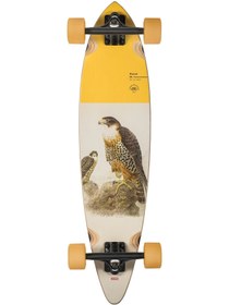 Resim Globe Pintail 34 