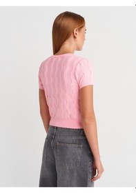 Resim Dilvin 60980 Bisiklet Yaka Dokulu Düğmeli Triko Hırka-pembe Pembe 