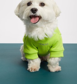 Resim Yeşil İnce Köpek Sweatshirt -"Balance" Sloganlı - 2 / Yeşil 