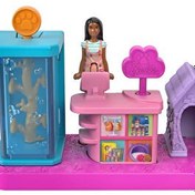Resim Barbie Mini BarbieLand Bebek ve Oyun Seti JCR30 