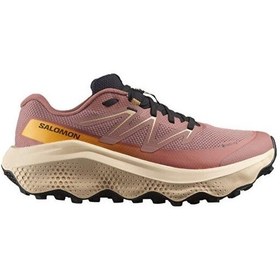 Resim Salomon Ultra Flow 2 Gtx Kadın Outdoor Koşu Ayakkabısı L47884500 Pembe Pembe 