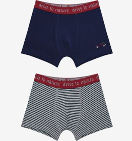 Resim Penti Erkek Çocuk Drive To Nature 2li Çok Renkli Boxer 