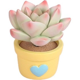 Resim Jzcat Aircraft E Modeli Araba İçi Simülasyon Bitki Süsler 