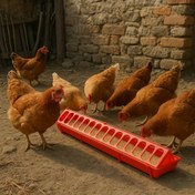 Resim 1 Adet Dayanıklı Plastik Tavuk Besleyici & Su Tepsisi Çok Bölmeli - Tavuklar, Ördekler, Kazlar için Uzun Kanal Tasarımı - Kullanımı Kolay Çiftlik ve Bahçe Kümes Evcil Hayvan Yemleme Ekipmanı, Elektrik Gerektirmez, Verimli Düzen, Temizlemesi Kolay, Sağlam Yapı, Ördek Yetiştiricileri İçin 