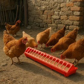 Resim 1 Adet Dayanıklı Plastik Tavuk Besleyici & Su Tepsisi Çok Bölmeli - Tavuklar, Ördekler, Kazlar için Uzun Kanal Tasarımı - Kullanımı Kolay Çiftlik ve Bahçe Kümes Evcil Hayvan Yemleme Ekipmanı, Elektrik Gerektirmez, Verimli Düzen, Temizlemesi Kolay, Sağlam Yapı, Ördek Yetiştiricileri İçin 