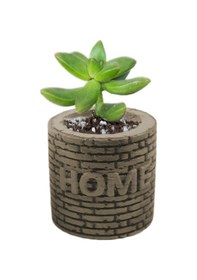 Resim Beton Saksı Silikon Kalıp - 156 