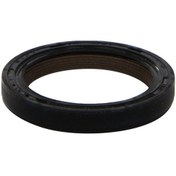 Resim Payen Eksantrik Keçesi 7701473545 Clıo Megan Kango Laguna Logan M 