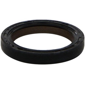 Resim Payen Eksantrik Keçesi 7701473545 Clıo Megan Kango Laguna Logan M 