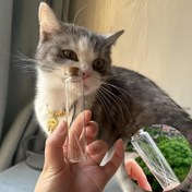 Resim 2 adet Kedi Tüyü Koleksiyonu Dilek Şişesi - Kediler ve Köpekler için Evcil Hayvan Tüyü Saklama Kabı, Kahve Çekirdeği Saklama Kutusu, Dalgakıran Şişesi, Küçük Altın Fasulye Çok Amaçlı Koleksiyon Şişesi, Evcil Hayvan Saklama Çözümü | Şirin Tasarım | Cam Yapı, Kedi Aksesuarları 