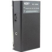 Resim Roxy RXY-160 Fm Cep Radyosu 