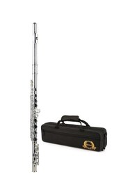 Resim Sılver Sfl-190Es Gümüş Kaplama C Flüt (Case Dahil) 