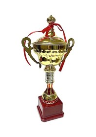Resim Avessa 523-b Kapaklı Gold Kaplama Kupa 40 Cm Sarı 