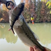 Resim USB Şarj Edilebilir LED Swimbait - 13cm/42g Çok Eklemli Elektrikli Balıkçılık Yemi Gerçekçi Hareketli, Levrek, Alabalık ve Daha Fazlası İçin 