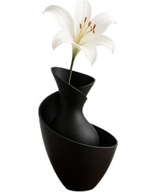 Resim Spiral Formda Modern Vazo-fibrika Store Siyah 
