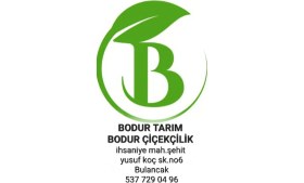 Resim Bodur Tarım Çelik Esnek Filiz,sürgün ve Bahçe Temizleme Bıçkısı 