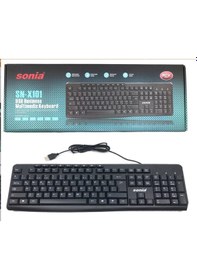 Resim Sn-x101 Usb Multimedya Klavye, Siyah, Q Türkçe Düzen, Kablolu, Tam Boy 