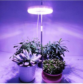 Resim Lebihmurah 1894 Bitki Büyümek Işık Kısılabilir Parlaklık Ev Kullanımı İçin Güneş Işığı Kapalı Kış Hidroponik Etli - 1 Kafa Çift Spektrum 