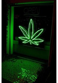 Resim Mary Neon Led Işık Renkli 