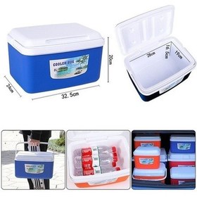 Resim Wholesale00 8l Taşınabilir Soğutucu Araba Buz Kovası Mini Buzdolabı, Hareketli 