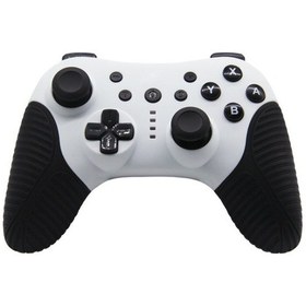 Resim Switch Pro İçin Titreşimli Sw510 Kablosuz Bluetooth Denetleyici Siyah Ve Beyaz 