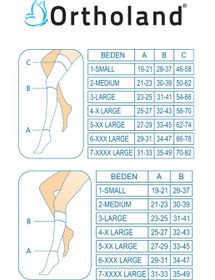 Resim PATELLA TENDON DİZLİĞİ - S 