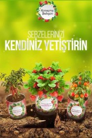 Resim Yta Grup Konserve Bahçem Evde Konservede Fındık Turp Yetiştirme Kiti 