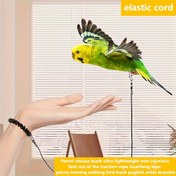 Resim Renkli Papağan Eğitim Tasma - Küçük Kuşlar için Dayanıklı Kauçuk İp, Papağanlar & Kakadular için İdeal - Konforlu Tutma Saplı Güvenli Dış Mekan Uçuş Kemer 