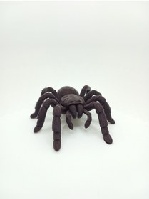 Resim shop Detaylı Tasarımlı 3D Baskı Dekoratif Örümcek Figürü 