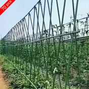 Resim 70 Adet 70.87" x 70.87" Ağır Hizmet Tipi Metal Bahçe Bitki Direkleri, Seçenekli Çaplar: 8mm/11mm/16mm/20mm, Dayanıklı PET Kaplamalı Metal Gövde, Paslanmaz, Kolay Yerleştirme, Dış Mekanlar, Sebze Bahçeleri, Tırmanıcı Bitkiler ve Meyve & Sebzeler İçin Uygun 