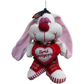 Resim Peluş Sevimli Tavşan Sesli Uzun Kulaklı 25 CM 