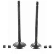 Resim Wiwi Emme Egzoz Sübap Takımı Tırnaklı Honda Activa 125 S 