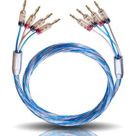 Resim Bi Tech Siyah Banana Uçlu Bi-Amping Hoparlör Kablosu 2.5mm² / 4.0 Mm² (3m) 