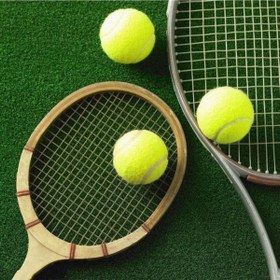 Resim 2 Adet Sarı Tenis Topu Antrenman Tenis Topu Tpw-002 