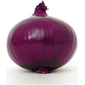 Resim Nadir Ithal Mor Soğan Tohumu 200 Adet Tohum 